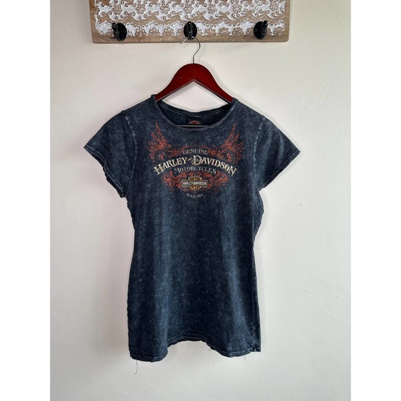 Harley-Davidson Tops - Harley Davidson Northern Lights Acid Wash Arbor Vitae WI Gray Short Sleeve Shirt